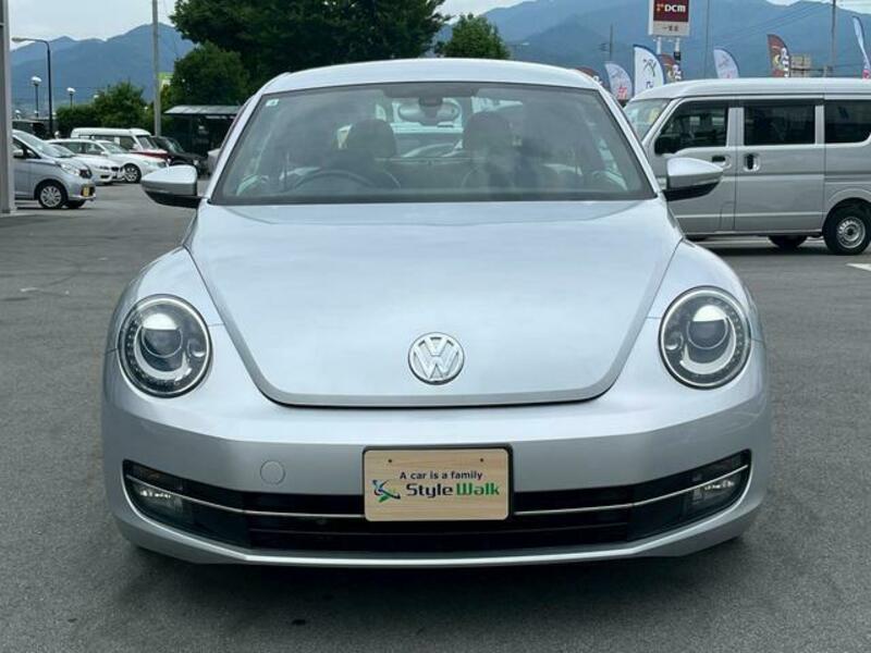 THE BEETLE