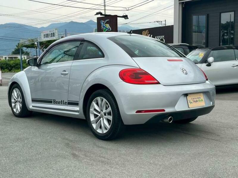 THE BEETLE