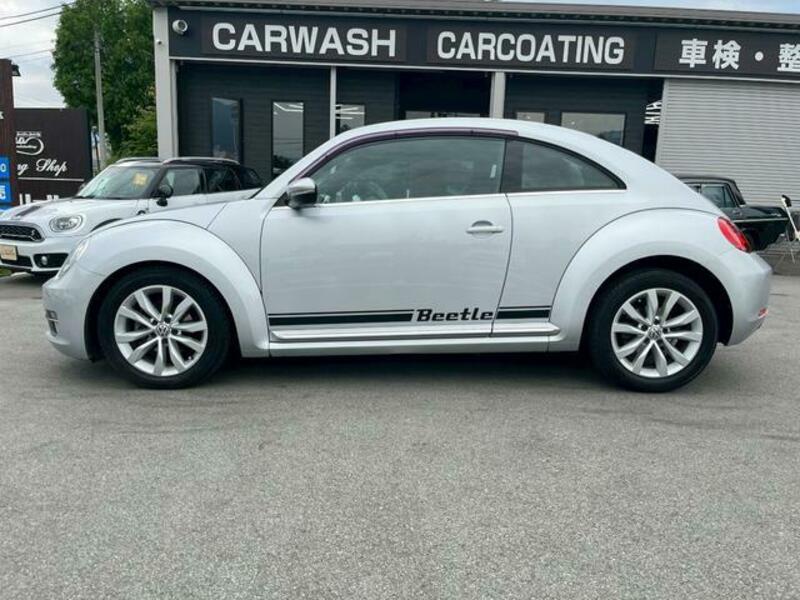 THE BEETLE