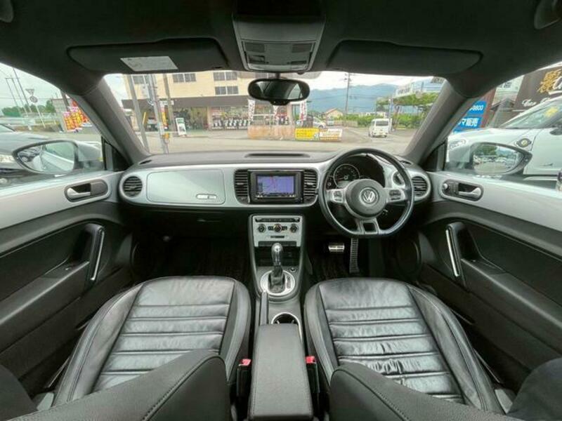 THE BEETLE