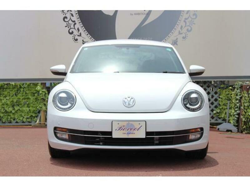 THE BEETLE