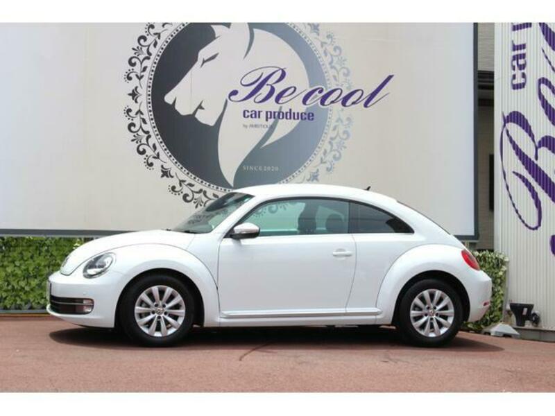 THE BEETLE