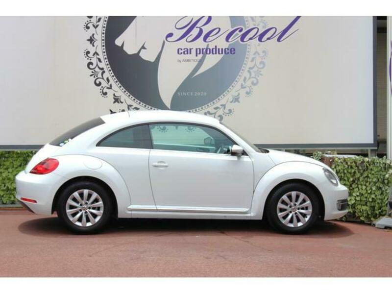 THE BEETLE
