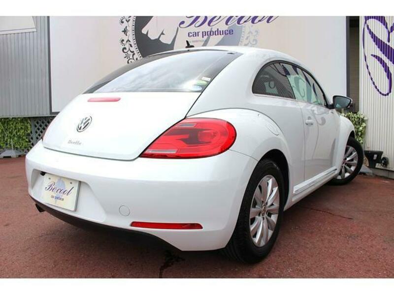 THE BEETLE