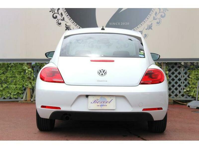 THE BEETLE