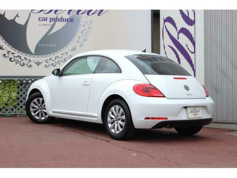 THE BEETLE