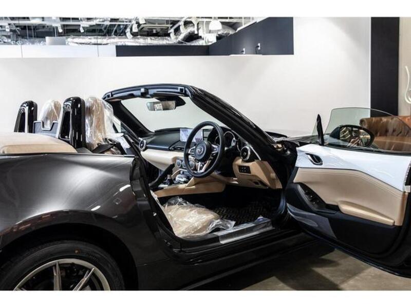 ROADSTER