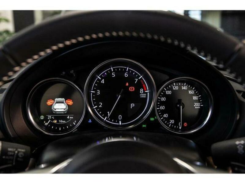 ROADSTER RF