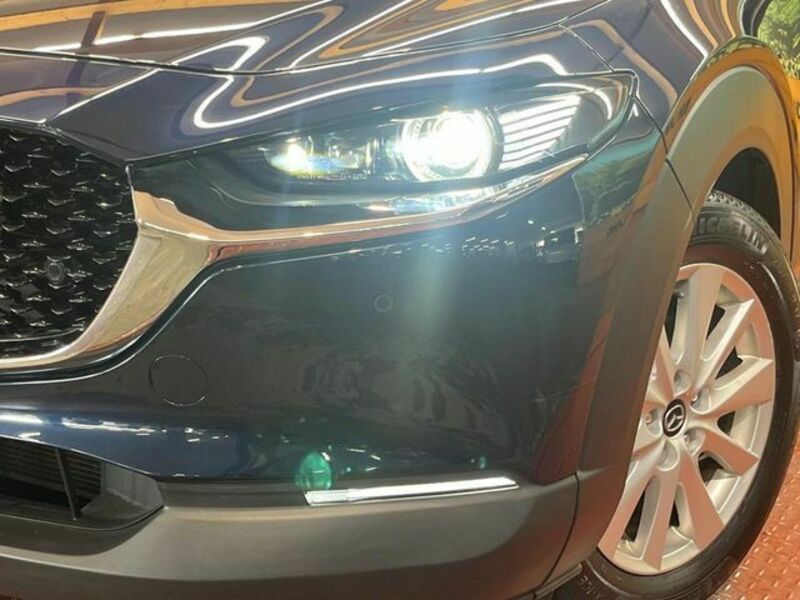 CX-30