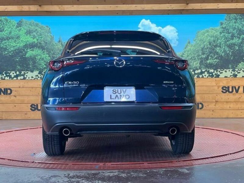 CX-30