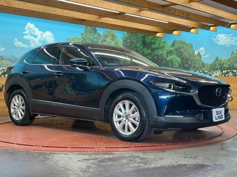 CX-30