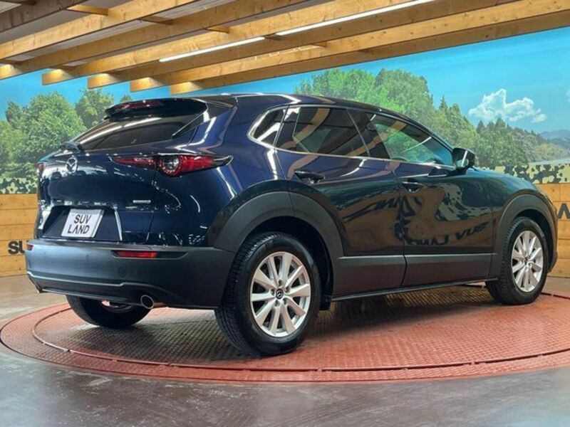 CX-30