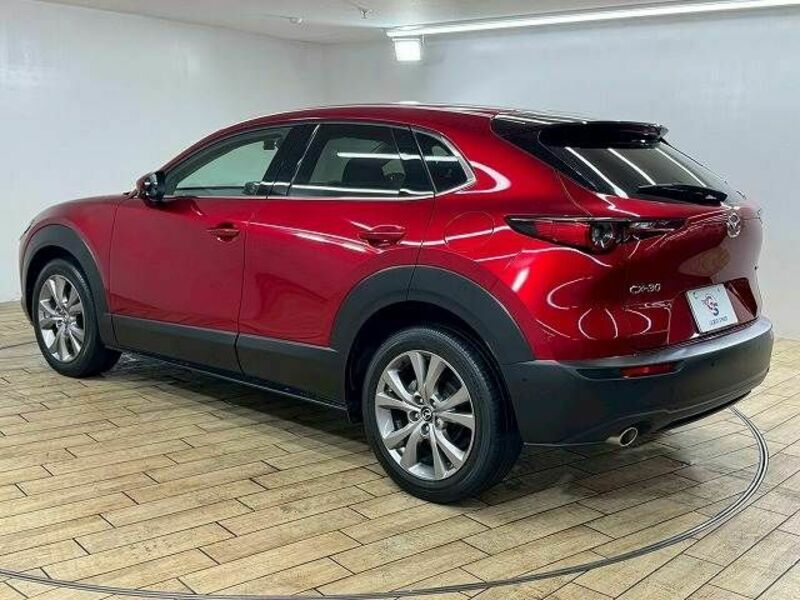 CX-30