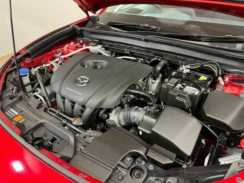 CX-30