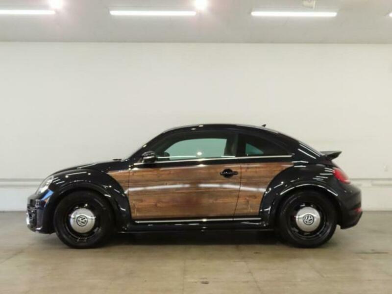 THE BEETLE
