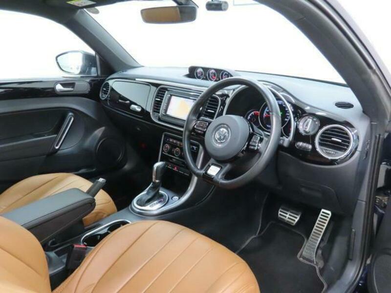 THE BEETLE