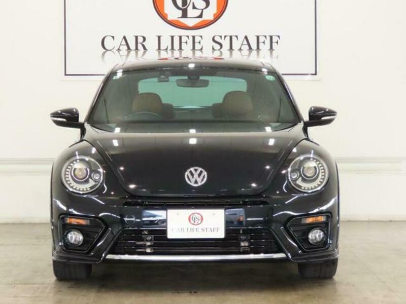 THE BEETLE