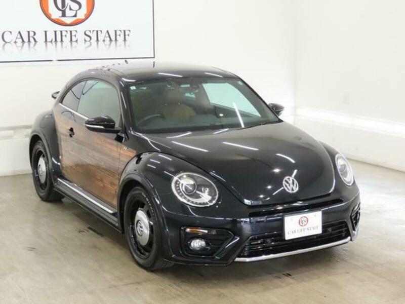 THE BEETLE