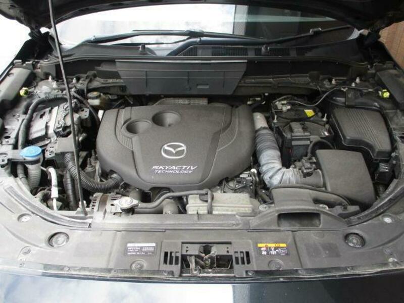 CX-8