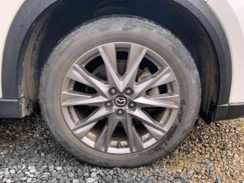 CX-8