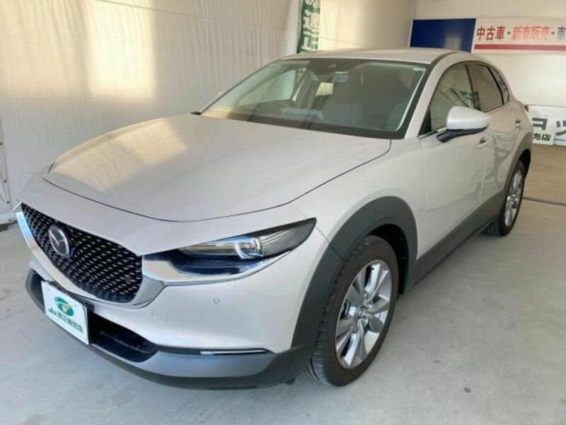 CX-30