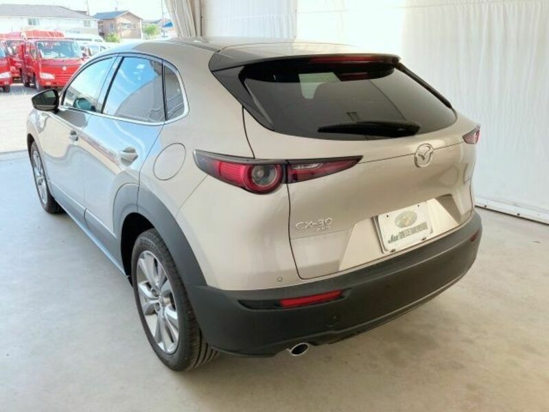 CX-30