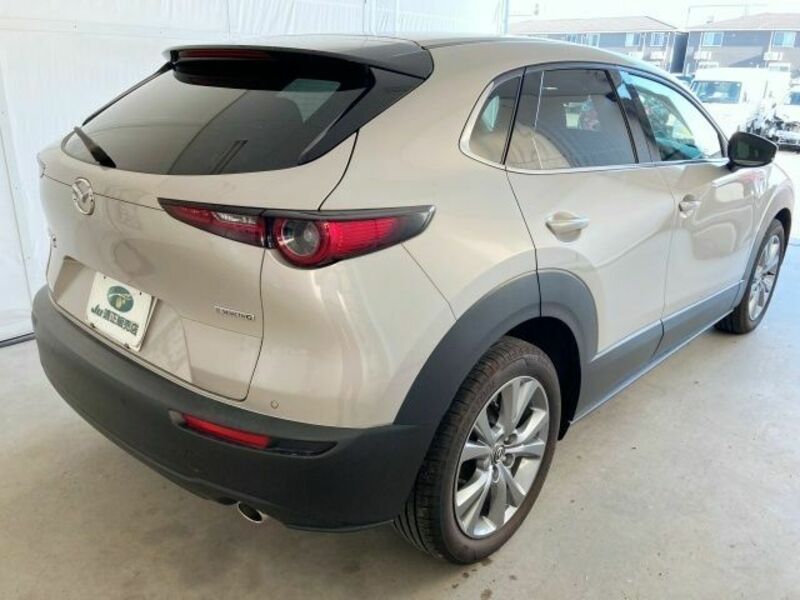 CX-30