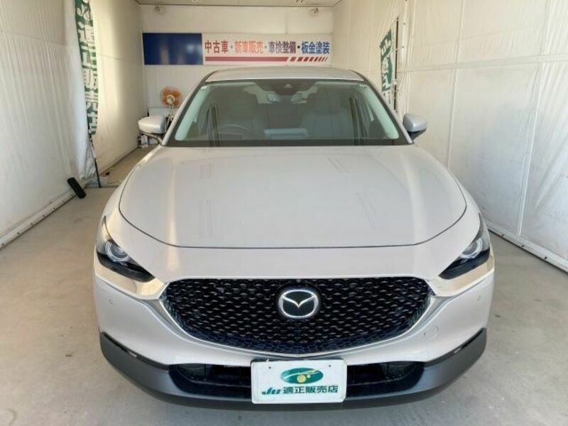CX-30