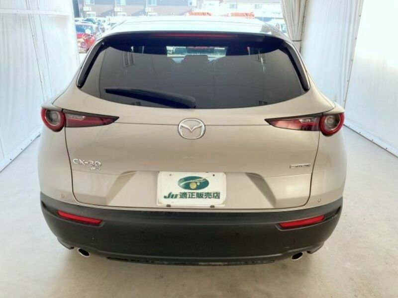 CX-30