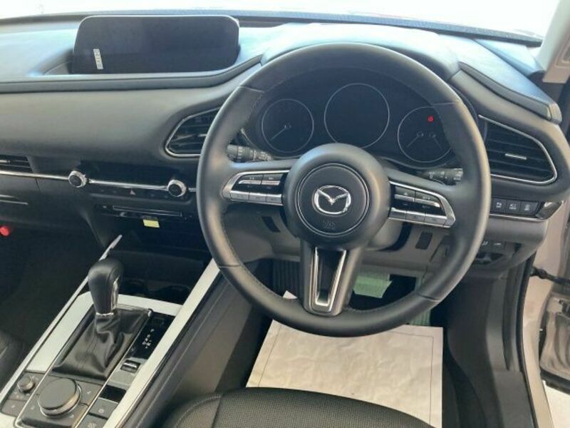 CX-30
