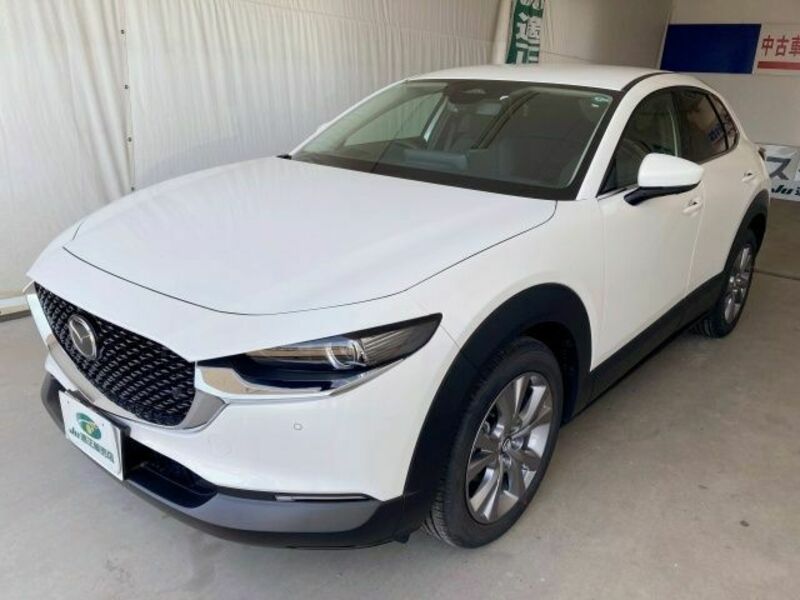 CX-30