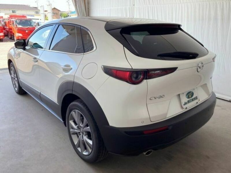 CX-30