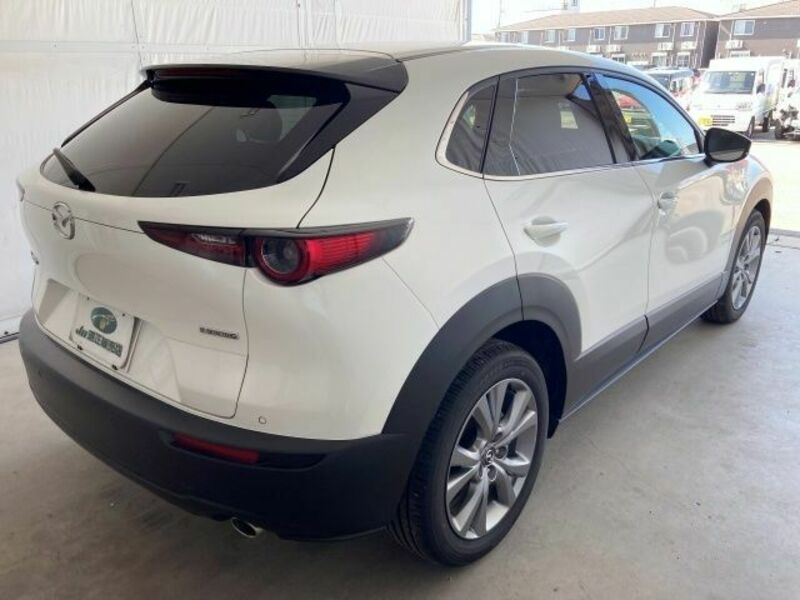 CX-30
