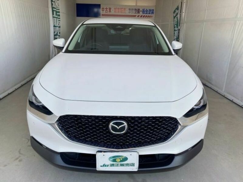 CX-30