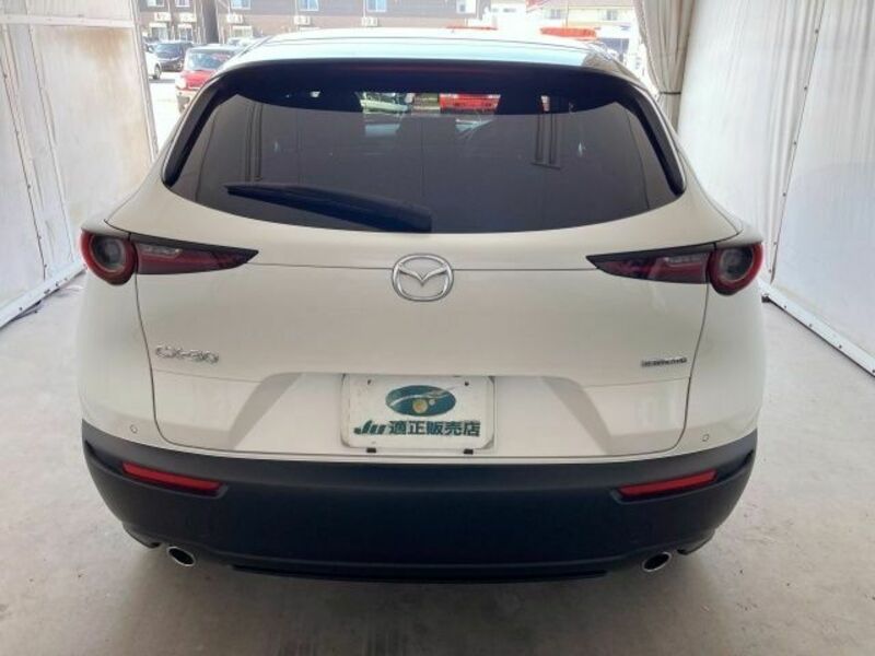 CX-30