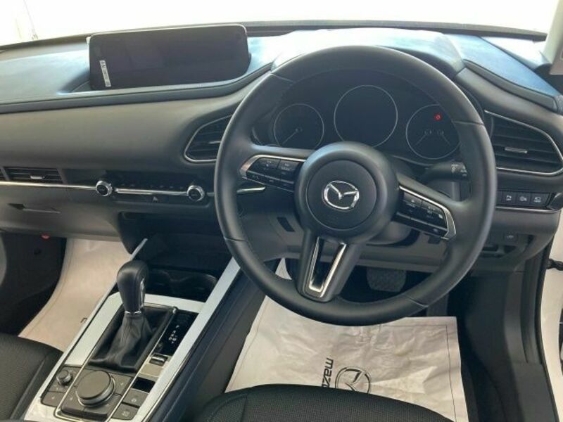 CX-30