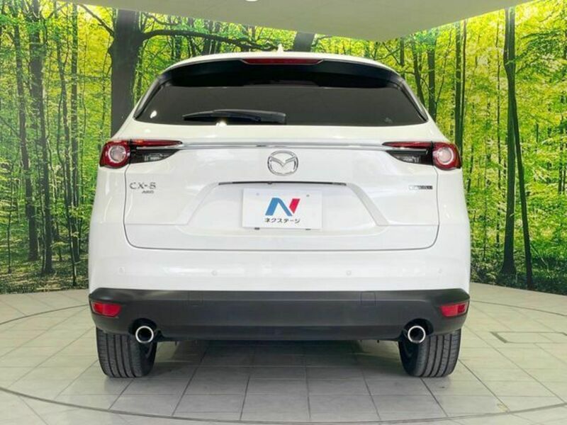 CX-8