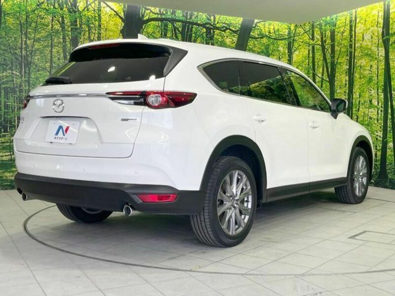 CX-8