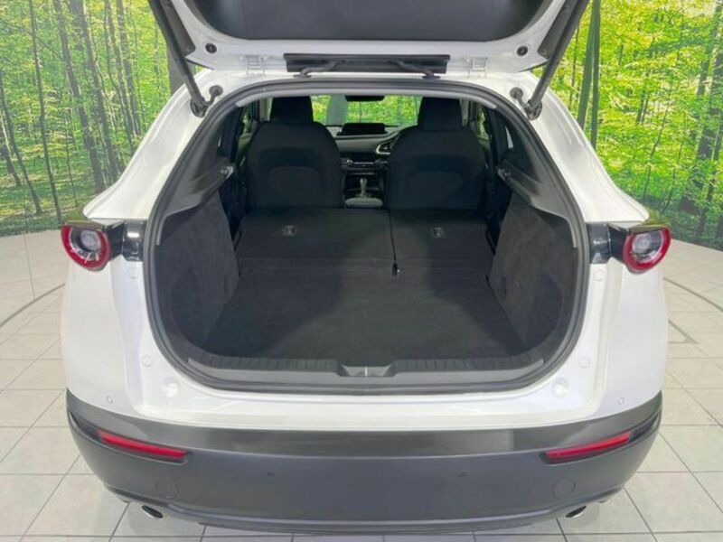 CX-30