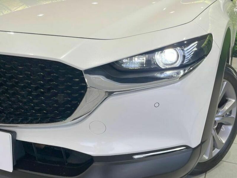 CX-30