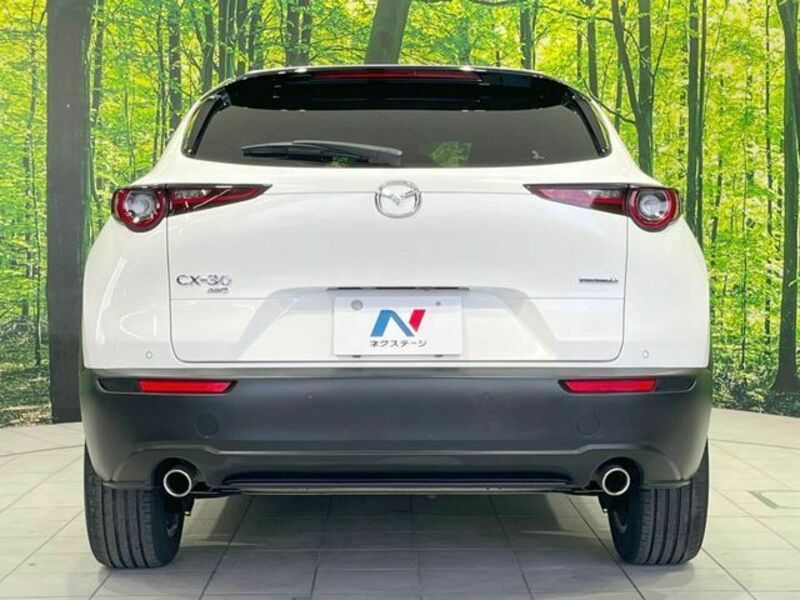 CX-30
