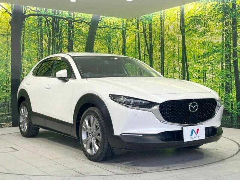 CX-30