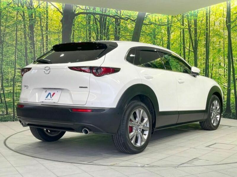 CX-30