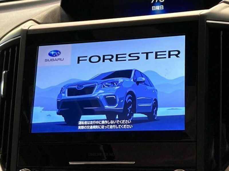 FORESTER