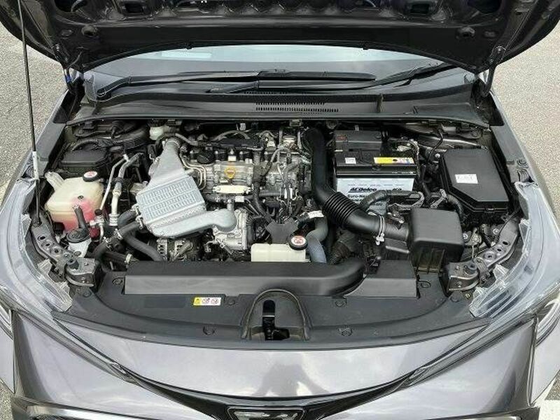 COROLLA SPORT