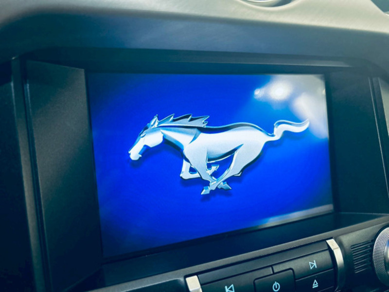 MUSTANG