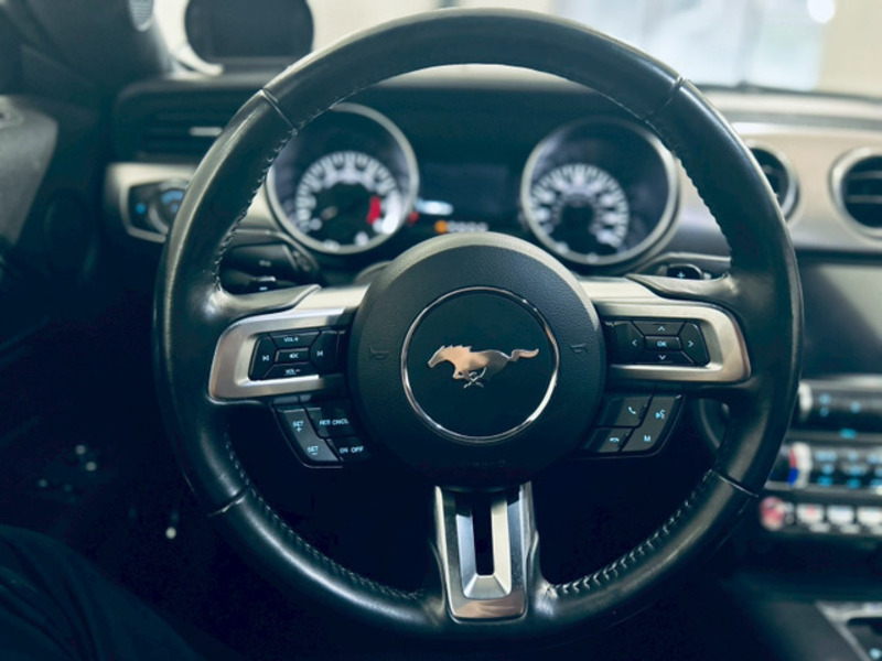 MUSTANG