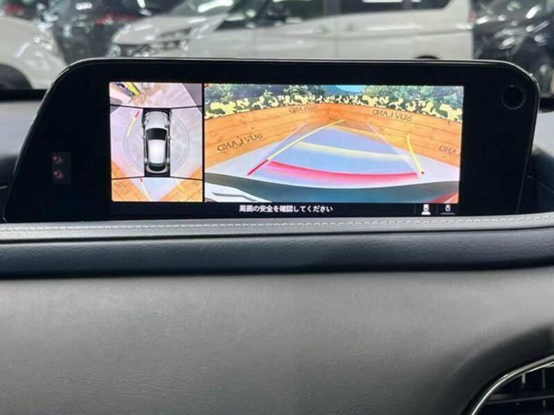 CX-30