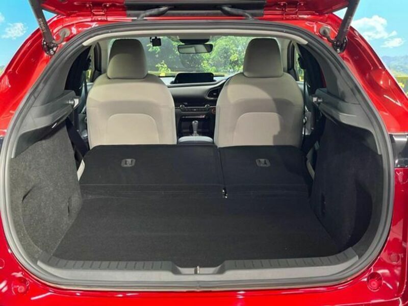 CX-30