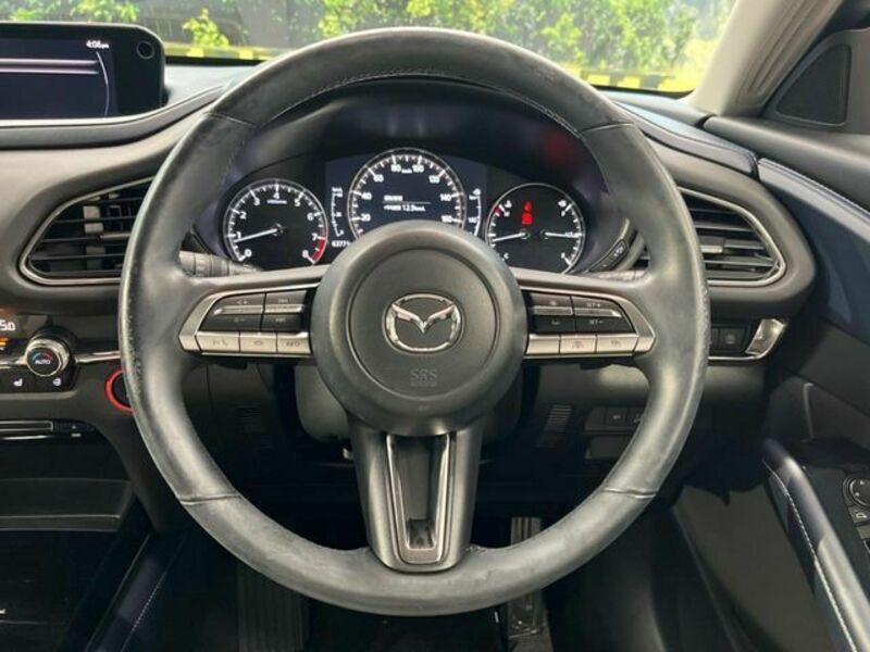 CX-30